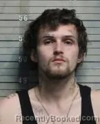 Mugshot of JOHNATHON NATHANIEL LOVINS