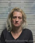 Mugshot of ELIZABETH ANNE BLEVINS