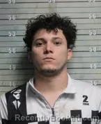 Mugshot of DAVID ENRIQUE CASTRO