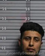 Mugshot of ERNER AVILA PEREZ