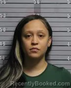 Mugshot of DANNIKA M OWENS