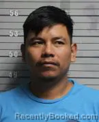 Mugshot of NOE RAQUEL REYNOSO VENTURA booked in Butler County, Ohio on April 1, 2026