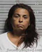 Mugshot of ADRIANA JUDITH MARTINEZ DAVALOS booked in Butler County, Ohio on June 17, 2026