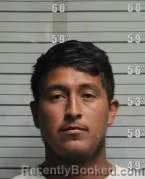 Mugshot of JORLENI YENIBER QUINTANA MARTINEZ booked in Butler County, Ohio on June 23, 2026