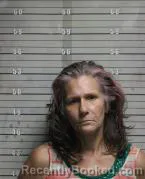 Mugshot of ROBIN ANNETTE INMAN booked in Butler County, Ohio on June 25, 2026