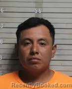 Mugshot of Ever Alexander Campos Flores booked in Butler County, Ohio on July 29, 2026
