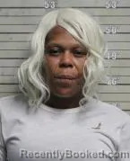 Mugshot of Bonnie Ann King booked in Butler County, Ohio on October 22, 2026