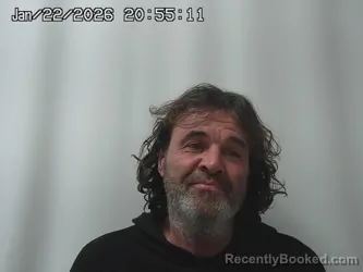 Mugshot of BRIAN SWANK