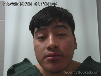 Mugshot of ARNULFO LOPEZ-SANCHEZ