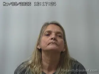 Mugshot of LISA SLOAN booked in Champaign County, Ohio on March 8, 2026