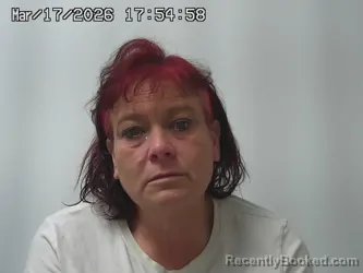 Mugshot of ANITRA HARDING booked in Champaign County, Ohio on March 17, 2026