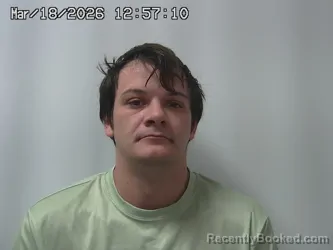 Mugshot of JACOB HENRY booked in Champaign County, Ohio on March 18, 2026