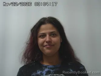 Mugshot of ELENA RODRIGUEZ-LAYMAN booked in Champaign County, Ohio on March 22, 2026