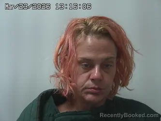 Mugshot of SHANNON SPIELMAN booked in Champaign County, Ohio on March 23, 2026