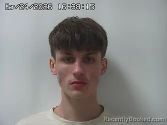 Mugshot of ETHAN JOHNSON booked in Champaign County, Ohio on March 24, 2026