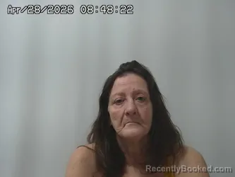 Mugshot of MELISSA HOUSTON booked in Champaign County, Ohio on April 28, 2026