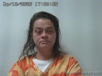 Mugshot of HEATHER JACKSON booked in Champaign County, Ohio on May 13, 2026