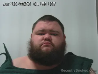 Mugshot of ZACHARY MORGAN booked in Champaign County, Ohio on June 13, 2026