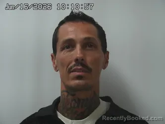 Mugshot of TIMOTHY COLLIER booked in Champaign County, Ohio on June 16, 2026