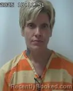 Mugshot of SHAUNA ELIZABETH HAMILTON booked in Clark County, Ohio on June 3, 2026