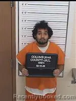 Mugshot of CARTER DONTE HOLLINGER