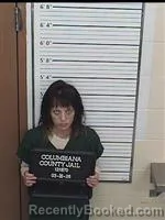 Mugshot of SIDNI RAE LIVOLSI