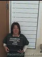 Mugshot of CHRISTINE ANN CHRISTIAN booked in Columbiana County, Ohio on March 29, 2026