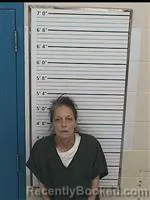 Mugshot of ANGELA DAWN NALLEY booked in Columbiana County, Ohio on May 6, 2026