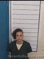 Mugshot of ERICA J SPRANKLE booked in Columbiana County, Ohio on May 28, 2026