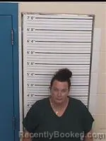 Mugshot of CHRISTINA ANN REED booked in Columbiana County, Ohio on July 1, 2026
