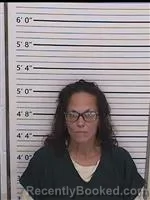 Mugshot of ELIZABETH LYNN COULTER booked in Columbiana County, Ohio on July 2, 2026