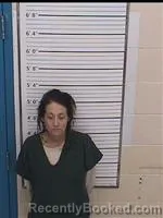 Mugshot of KAYLA ANN WHEELER booked in Columbiana County, Ohio on July 7, 2026