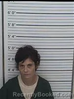 Mugshot of KRYSTLE MARIE SPARKS booked in Columbiana County, Ohio on July 22, 2026