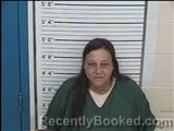 Mugshot of CYNTHIA RENE WILLIAMS booked in Columbiana County, Ohio on July 23, 2026