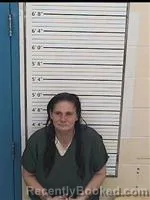 Mugshot of Angel Dawn Robertson booked in Columbiana County, Ohio on October 25, 2026