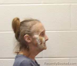 Mugshot of Tracy Ann Bice booked in Coshocton County, Ohio on October 23, 2026