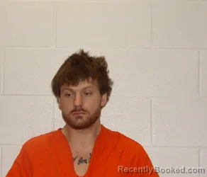 Mugshot of TRE VINCENT BROWN