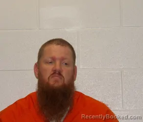 Mugshot of JAMES ALPHIS MURRAY