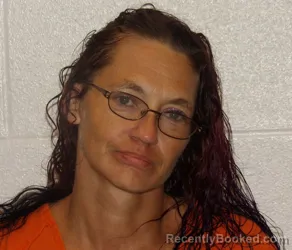 Mugshot of Robyn Leann Villers booked in Coshocton County, Ohio on August 7, 2026