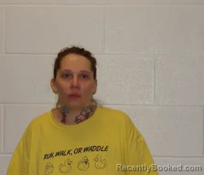 Mugshot of DANIELLE LEE ROSS