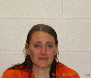 Mugshot of CHANDRA DANELL HAINES booked in Coshocton County, Ohio on April 2, 2026