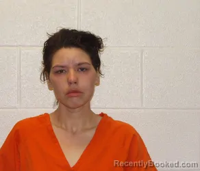 Mugshot of ASHLEY NICOLE SAUNDERS booked in Coshocton County, Ohio on April 25, 2026