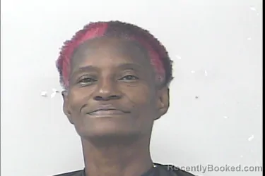 Mugshot of Marie Denise Chester