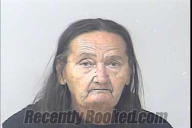 Mugshot of Thea L Gillespie booked in St Lucie County, Florida on June 25, 2026