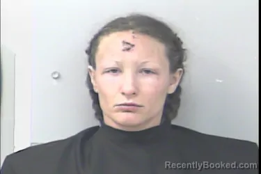 Mugshot of Alyssa Nicole Dolan