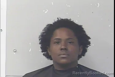 Mugshot of Celena Collette Woolery booked in St Lucie County, Florida on May 4, 2026