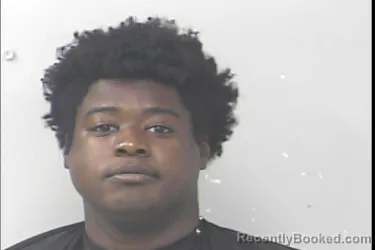 Mugshot of Moezies Telfort