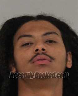 Mugshot of Jordan Zion Loibman booked in St Lucie County, Florida on March 26, 2026