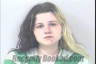 Mugshot of Briana Nicole Gallander