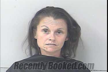 Mugshot of Roseanna Marie Harsha booked in St Lucie County, Florida on July 4, 2026